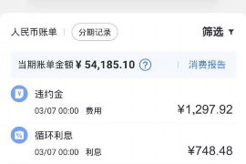 鱼峰鱼峰讨债公司服务